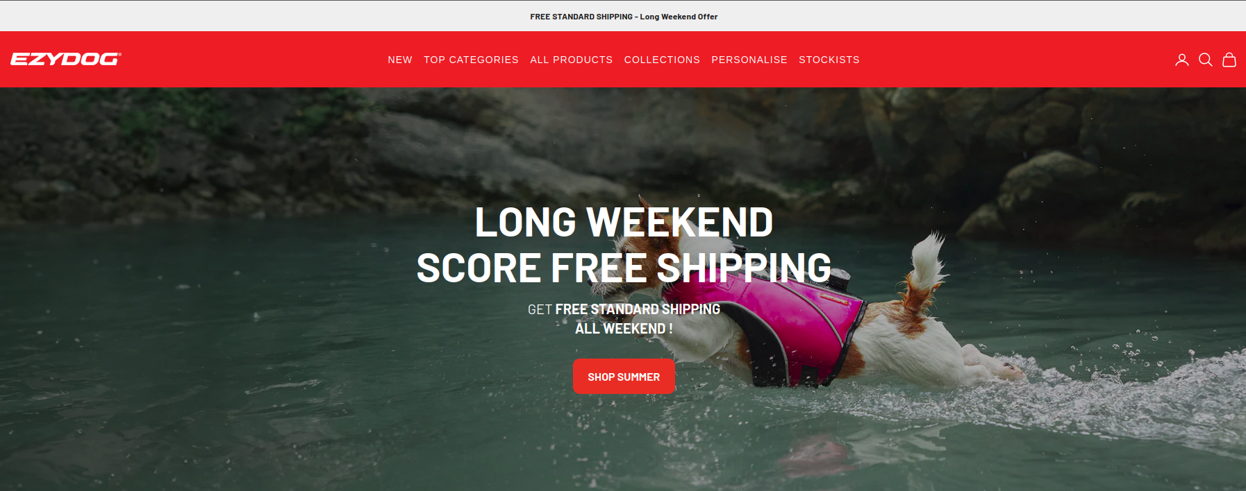 Scaling EzyDog Australia for Growth and Revenue